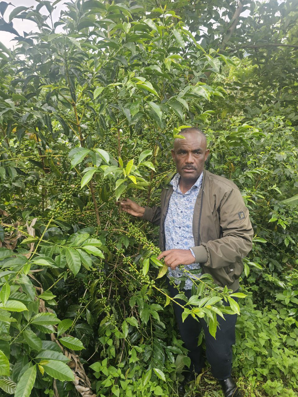 photo_2025-05-30_15-07-15