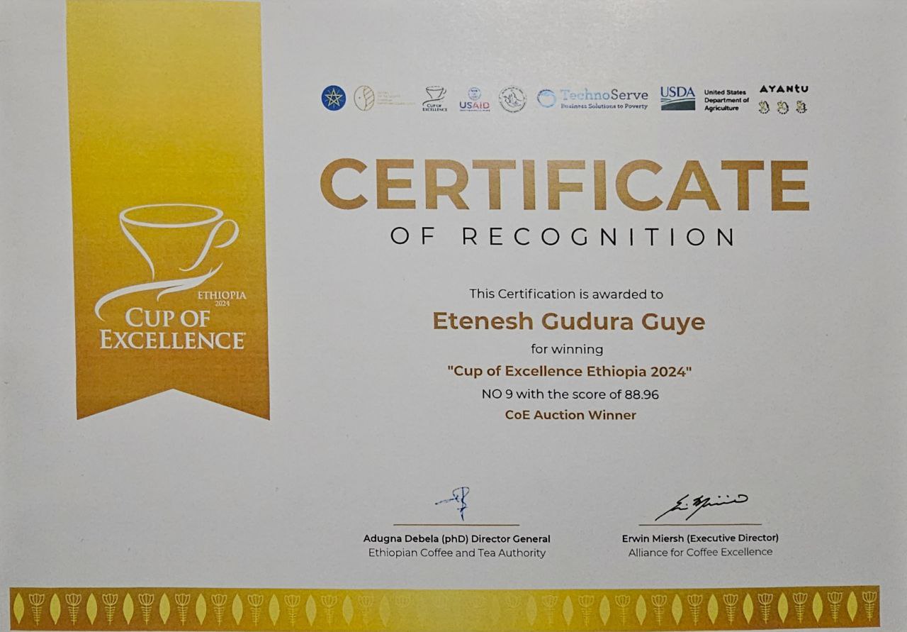 photo_2025-05-30_15-07-41